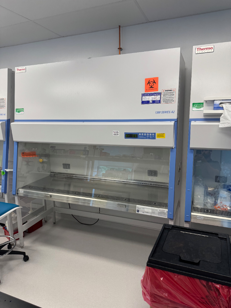 Image of Thermo 1300 Series A2 6' BioSafety Cabinet